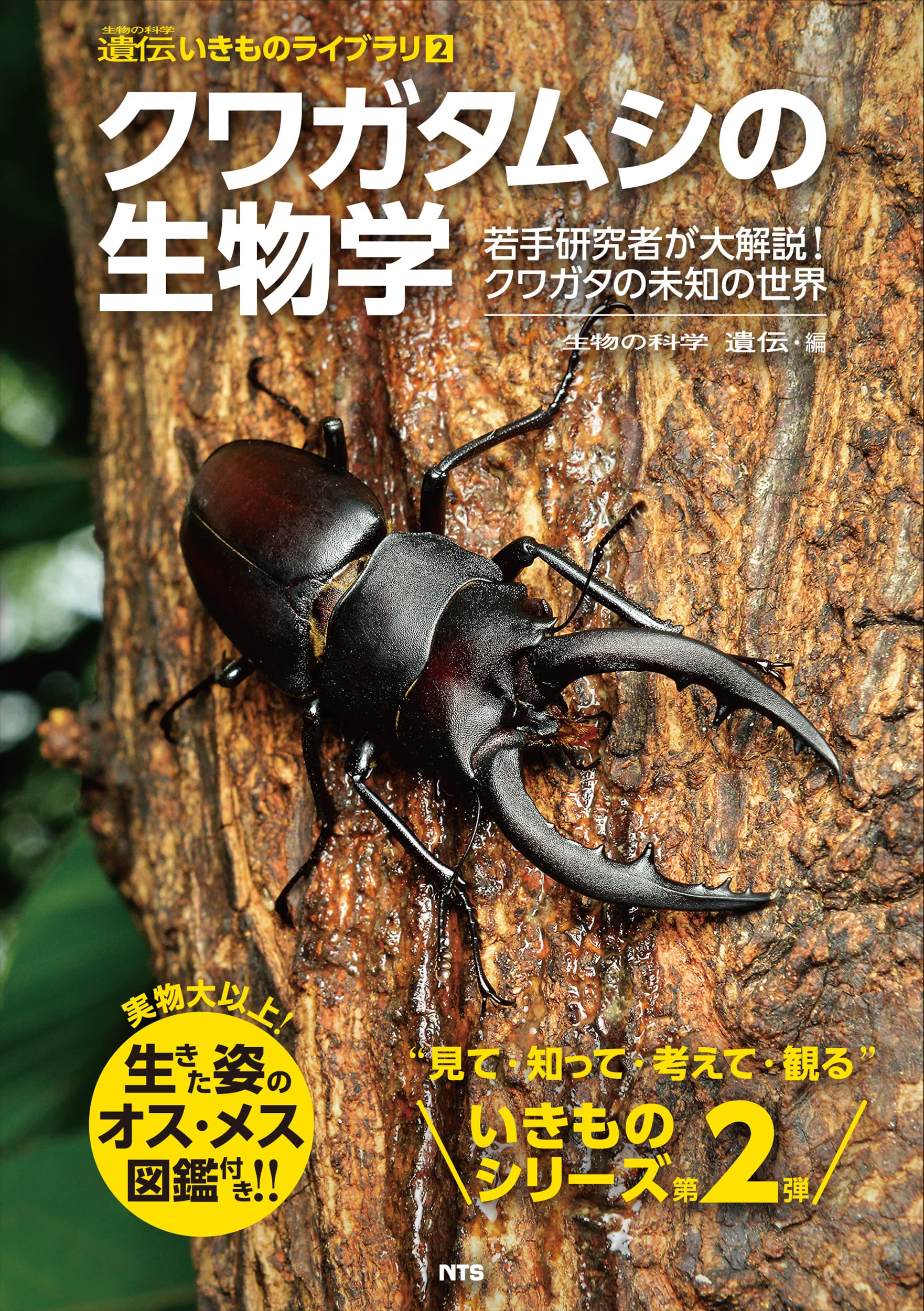 クワバカ クワガタを愛し過ぎちゃった男たち Amazon.co.jp: クワバカ クワガタを愛し過ぎちゃった男たち